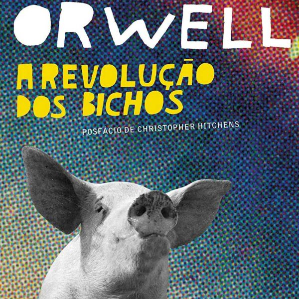 5B209E89C58F0916BA82658D881C5BD2